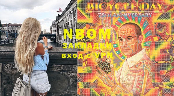 шишки Осинники