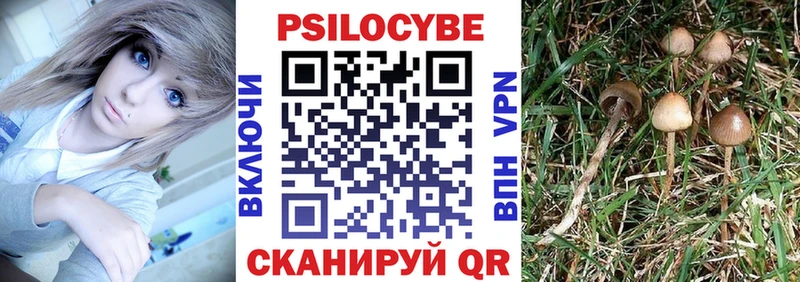 Галлюциногенные грибы Psilocybe  MEGA ссылка  Борзя 