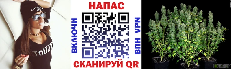 где купить наркоту  Борзя  МАРИХУАНА LSD WEED 
